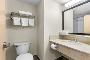 Econo Lodge Woodbridge - Salle de bain