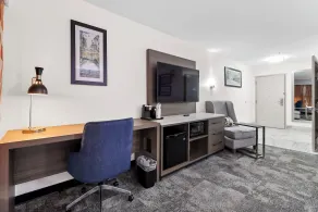 La Quinta by Wyndham Atlanta South - Newnan - Rum