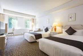 Luke Plaza Hotel - Habitación