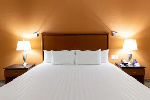 HS HOTSSON Hotel Tampico - Chambre