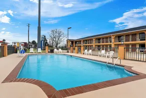 Best Western Greenville Inn - Pool