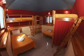 Roots - Habitación