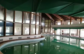 Delberg Palace Hotel - Piscina