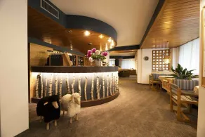 Hotel Villa Rosa - Réception