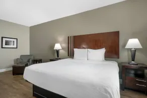 Best Western Abbeville Inn and Suites - Room