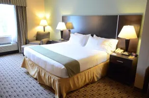 Aspen Grand Hotel Houston - Room