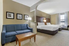 Comfort Suites Houston NW - Vintage Park - Rum
