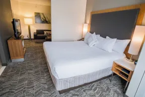 SpringHill Suites by Marriott Winston-Salem Hanes Mall - Chambre