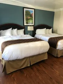 Rex Motel - Chambre