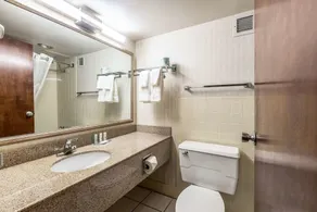 Quality Inn & Suites Albert Lea - Værelse