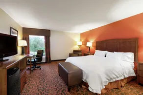 Hampton Inn Houma - Chambre