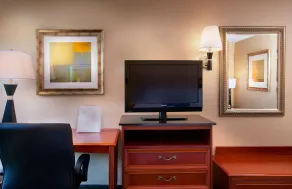 Hampton Inn Alexandria/Pentagon South - Chambre