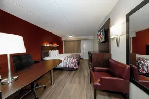 Red Roof Inn Tampa - Brandon - Værelse
