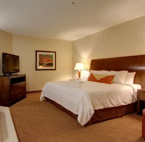 Hilton Garden Inn Calgary Airport - Vue de la chambre