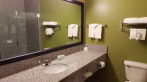 Sleep Inn & Suites Shamrock - Badezimmer