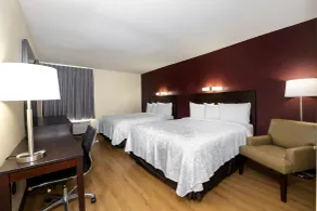 Red Roof Inn PLUS+ Tuscaloosa - University - Chambre
