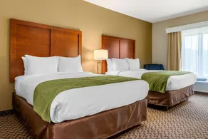 Comfort Inn & Suites Florence Center Area - Chambre