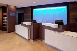 Fairfield Inn & Suites by Marriott Detroit Troy - Réception