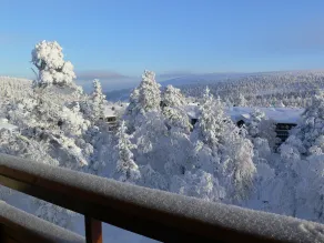 Lapland Hotels Riekonlinna - View from room