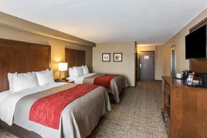 Comfort Inn & Suites Knoxville West - Chambre