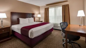 Best Western Plus Grapevine Inn - Værelse