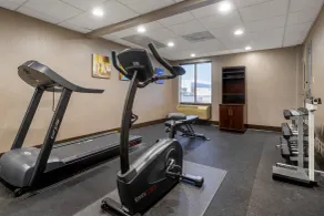 Comfort Inn & Suites Greer - Greenville - Fitnessfaciliteter