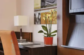 Steigenberger Hotel Dortmund - Zimmer
