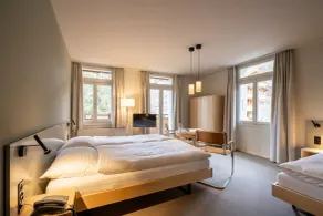 Hotel Alpenruhe - Vintage Design Hotel - Utsikt från rummet