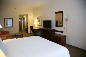 Hampton Inn & Suites Alpharetta Roswell - Chambre