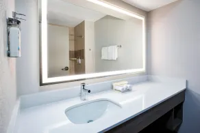 Holiday Inn Express Silver City by IHG - Bathroom