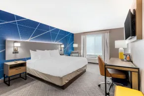 Comfort Inn & Suites - Room