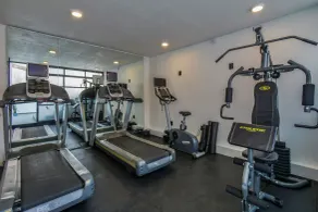 The Sterling Condesa - Palestra
