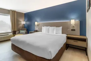 Comfort Inn & Suites Houston FM1960 - Champions - Room