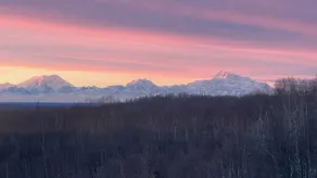 Talkeetna Denali View Lodge and Cabins - Udsigt fra værelset