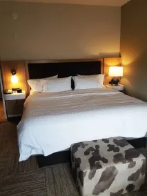 Hampton Inn Bulverde Texas Hill Country - Rom