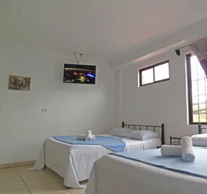 Hotel Quinta Avenida - Room