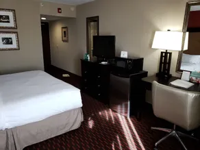 Wyndham Garden Dover - Chambre