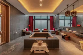 Shenzhen OCT Gankeng Ancient Town Phoenix Hakka Hotel - Spa
