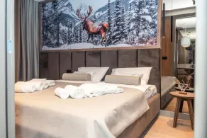 Apart-hotel Pahulja - Room