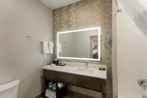 Best Western Plus Executive Residency Nashville Antioch - Bathroom