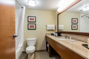Comfort Inn & Suites Airport-American Way - Baño