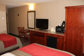 Comfort Inn & Suites West Springfield - Chambre