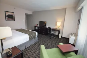 CHN Hotel Monterrey Norte, Trademark Collection by Wyndham - Habitación