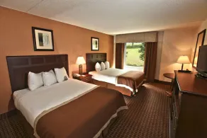 Baymont by Wyndham Branson - On the Strip - Chambre