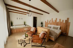 Zemunice Knezevic - Room