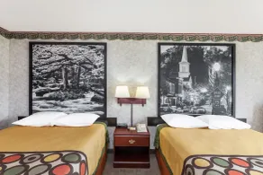 Super 8 by Wyndham Erwin, I-26 Exit 37 - Chambre