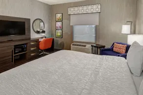 Hampton Inn Fresno Airport - Chambre