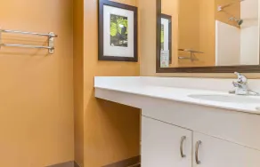 Auburn Hills Extended Stay Inn - Badrum