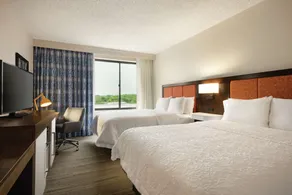 Hampton Inn & Suites Dallas-Mesquite - Chambre