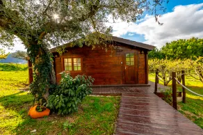 Quinta do Quinto - Turismo de Habitação - Værelse